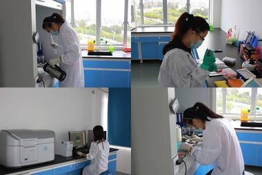 歐易訪談 專注生物技術(shù)服務(wù)，以技術(shù)開發(fā)驅(qū)動(dòng)質(zhì)量與體驗(yàn)雙提升